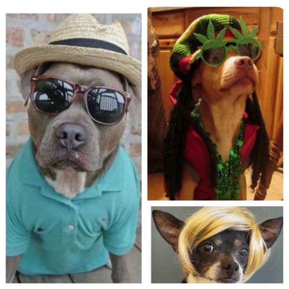 ❌ 11/19 WICKED WEDNESDAY VINTAGE FASHION SHARE GROUP - Picture 6 of 16